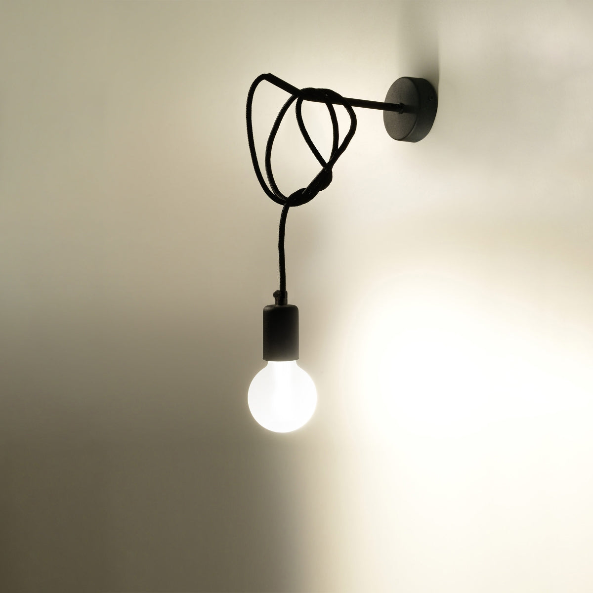 Black Coiled Cable Wall Light