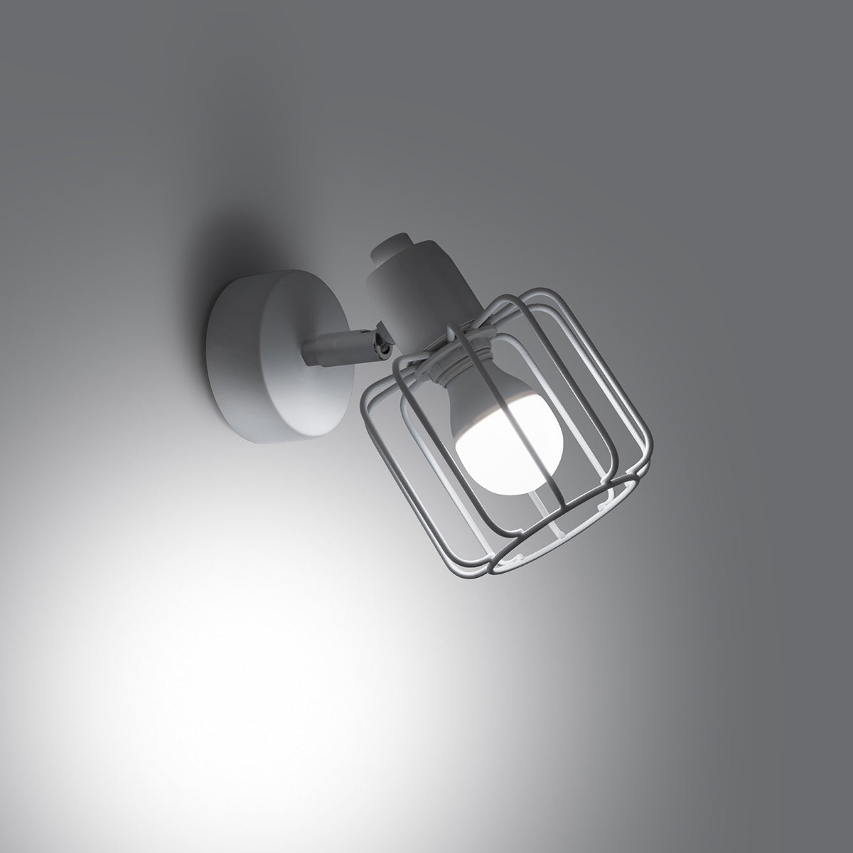 White LED Adjustable Cage Wall Light